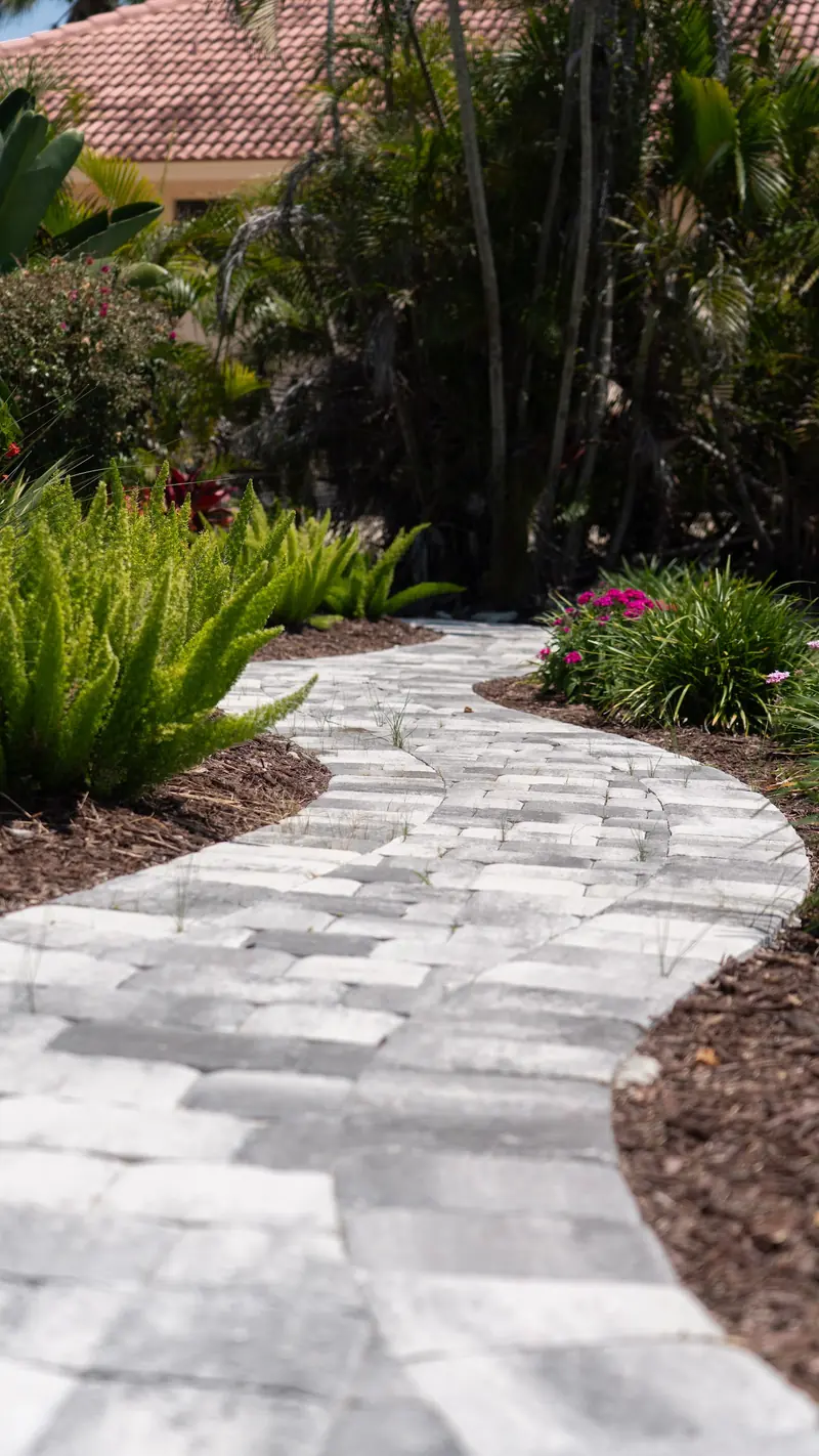 Winding paver path through ferns and mulched beds