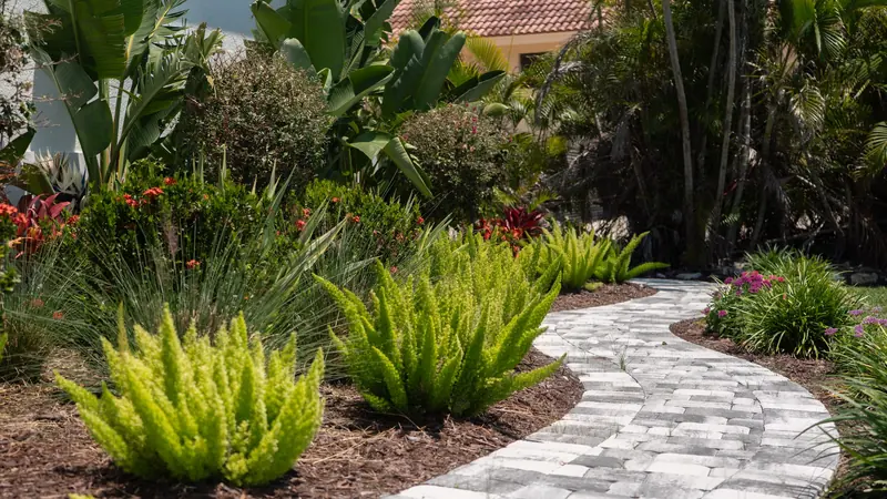 Foxtail ferns and grasses beside a winding paver garden path