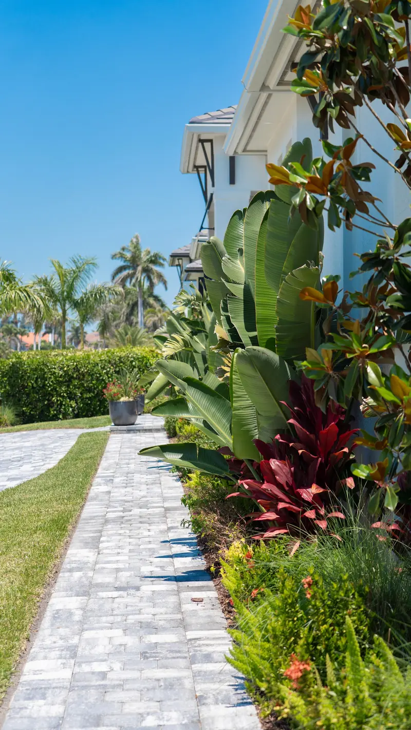 Narrow paver side walkway beside bird of paradise and red ti plants