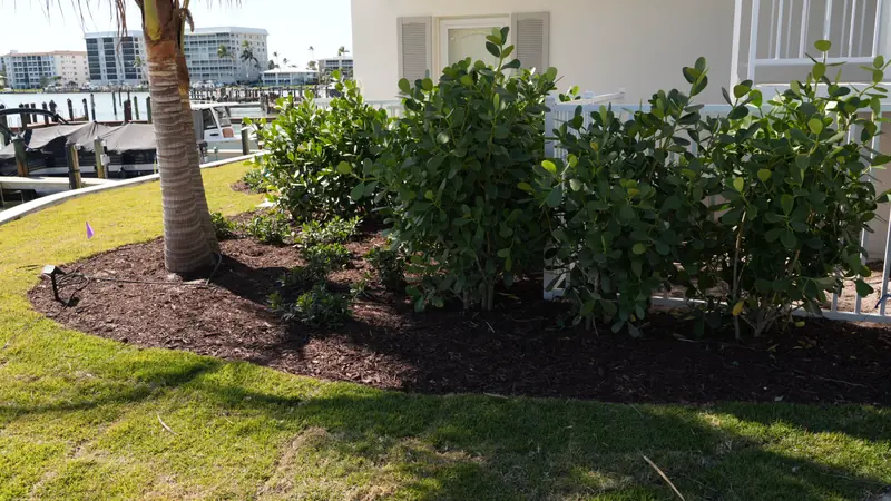 Freshly mulched bed with rounded shrubs and a palm near a waterfront dock